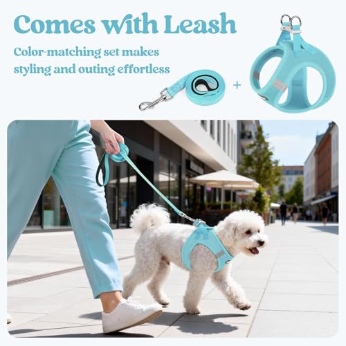 Dog Harness Small Sized and Leash Set (Mint Blue / S (chest: 15.1 - 16.5"))