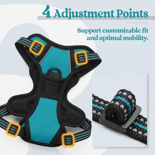 Dog Harness No Pull with 2 Leash Clips (X-Small / Teal)