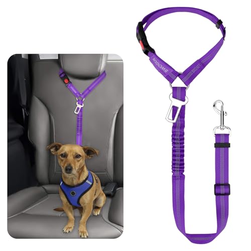 Dog Seat Belt for Car (Purple)