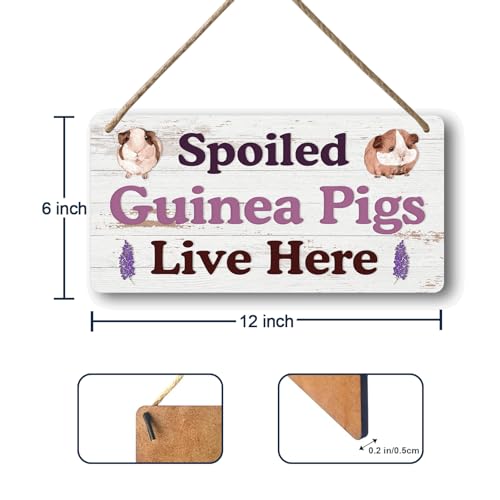 Big Hamster Ball & Guinea Pig Hideout (007)