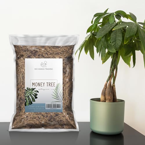 Money Tree Soil (4 Quarts)