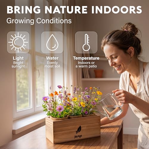 Wildflower Seed Mix Growing Kit