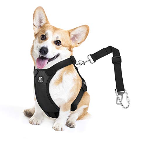 Dog Seat Belt Vest Harness for Car (Black / M (Chest: 19.7-26.4", Neck: 12.6-20.5"))