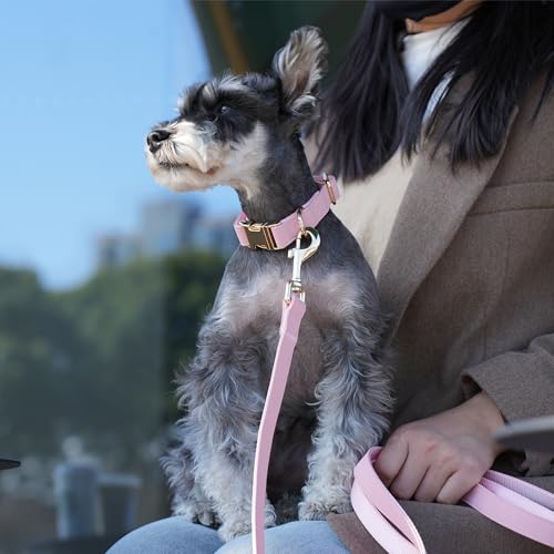 Soft PU Leather Dog Collar (S: Fit 9-14" Neck(10-20 lbs) / Pink)