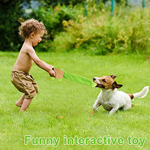 Dog Squeak Toys Dogs Enrichment Treat Dispensing Puzzle Toys Interactive Dog Toys for Large Medium Small Dogs (Turtle)
