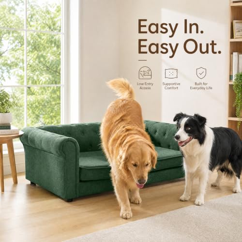 Dog Sofa Couch for Medium to Large Dogs (55 inch-1 / Green)