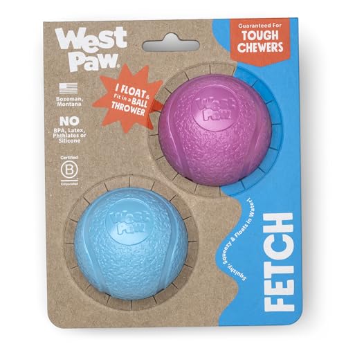 Boundr Ball Dog Fetch Toy (Small (Pack of 2) / Hot Pink/Aqua Blue)