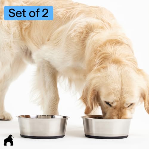Dog Bowls Food Grade Stainless Steel (Black / 2 Cup (Set of 2))