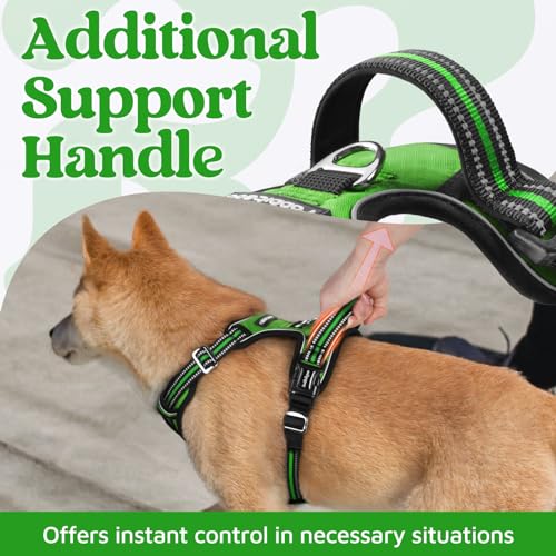 Dog Harness for Large (Green / Large)