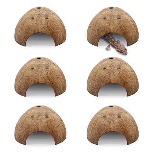 6 PCS Natural Coconut Reptile Hideouts Lizard Coco Hut Hermit Crab Hut Aquarium Fish Hide Cave Spider Snail Climber Toys (Smooth Surface / 6 PCS)