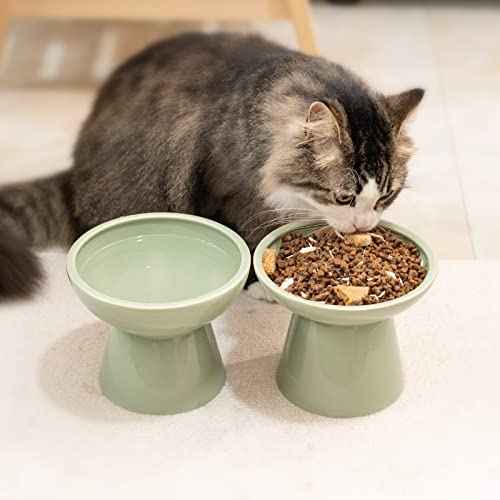 Extra Wide Elevated Ceramic 6.2" Deeper Cat Water Bowl (Sage Green-Deeper)