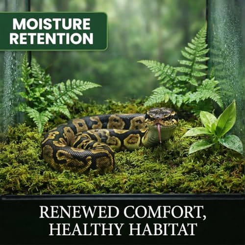 Sphagnum Moss for Reptiles (5 Ounces / Green)