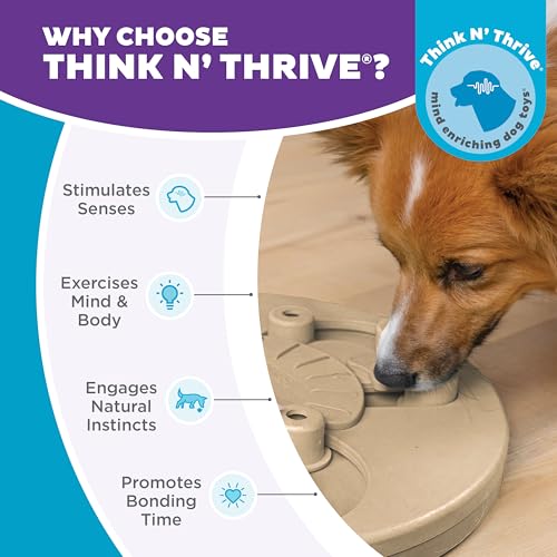by Nina Ottosson Dog Worker Treat Puzzle Enrichment Toy