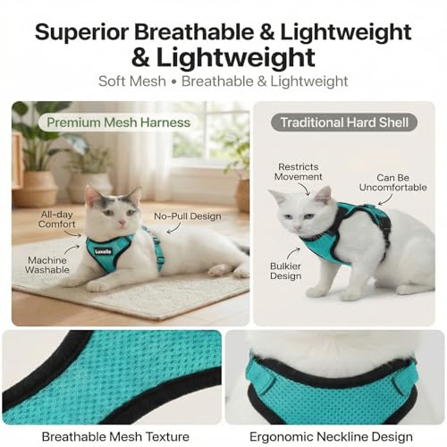 2 Pack Escape (Lake Blue / XS)