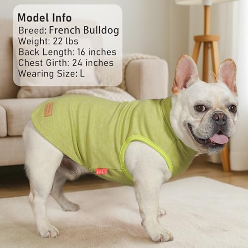 2Pack Dog Sweater for Small Dogs Soft Pet Coats Fleece Sweatshirt (Large (12-18lbs) / 4# Stripe+Green)