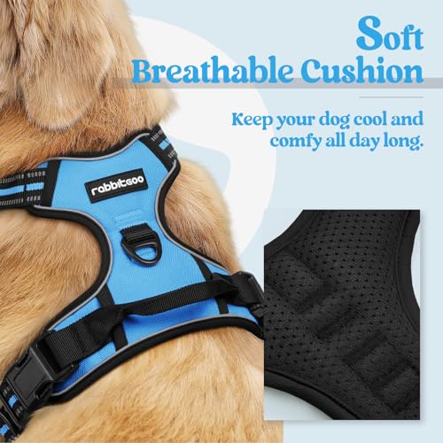 Dog Harness No Pull for Large Dogs with 2 Leash Clips (X-Large / Blue)