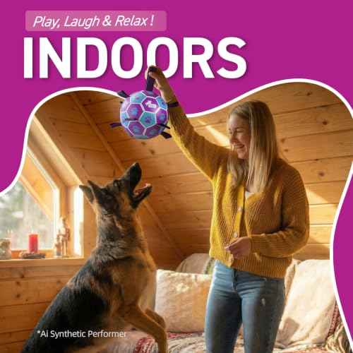 Big Dog Toys Large Herding Ball for Dogs Large (Purple-Blue / Extra Large Size 5 (9 Inch))