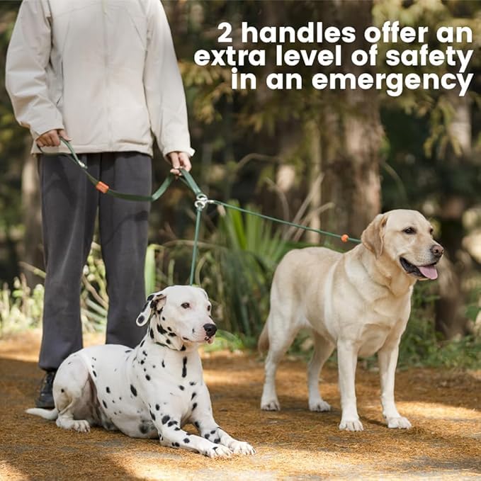 Slip Lead Leash 2 Dogs (Green / w/o Handle)