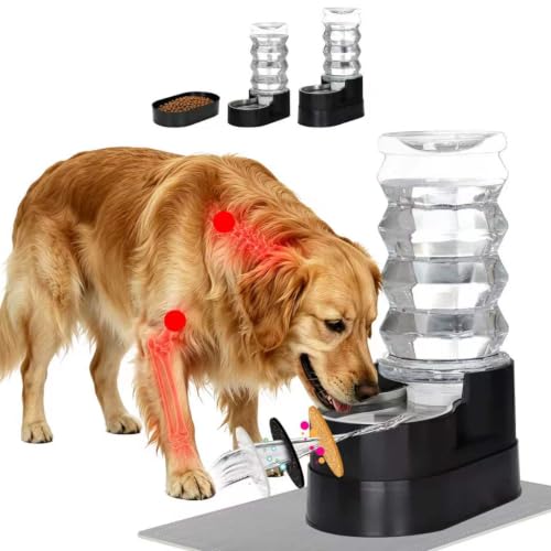8L Elevated Dog Water Dispenser (8L / Black)