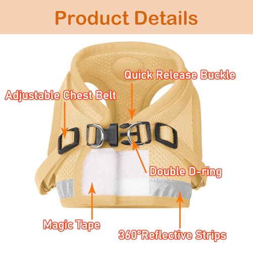 Cat Harness and Leash Set (XS (Chest: 6" - 8") / DarkCream)