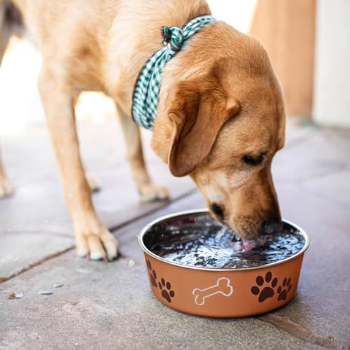 Bella Dog Bowls (Copper / Medium (20-35lbs))