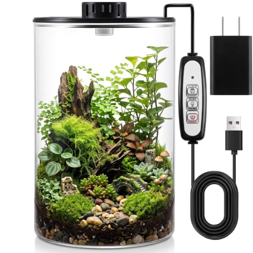 Glass Terrarium Kit with LED Grow Light for Desktop (9.8 x 5.9 Inch)