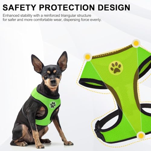 Small Dog Harness (XS (NECK: 10", CHEST: 10"-14") / Green)