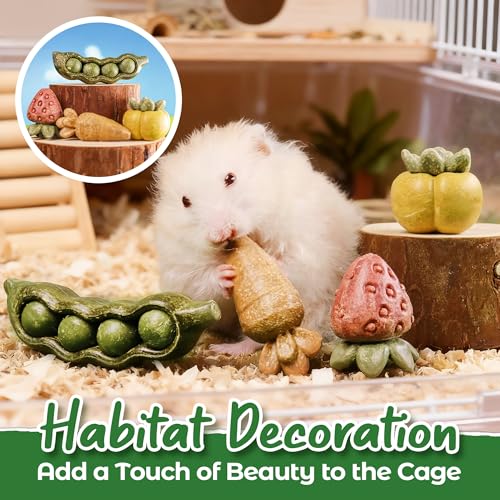 4PCS Guinea Pig Toys (4PCS-Fruit & Vegetable)