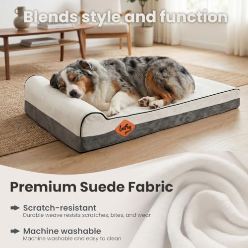 Orthopedic Dog Bed (40.0"L x 25.0"W x 5.5"Th / Dark Grey)