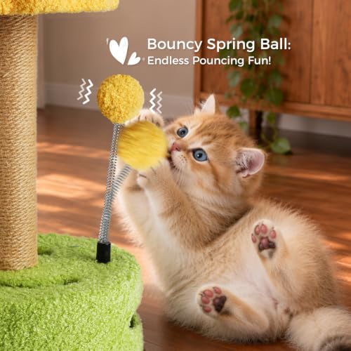 Small Cat Scratching Post with Perch Kitten Toys for Indoor Kittens 4 in 1