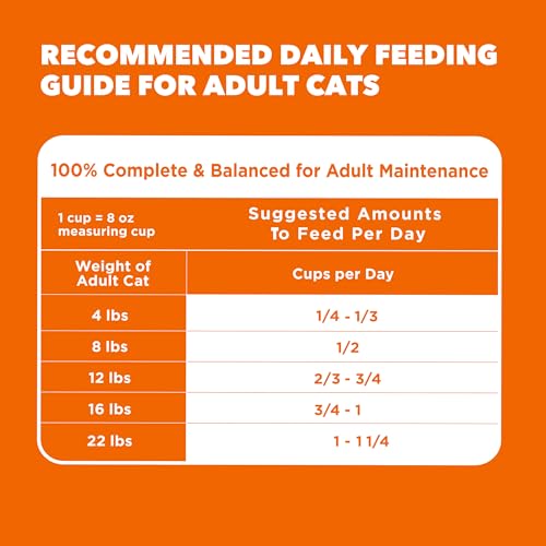 Proactive Health Healthy Adult Dry Cat Food (22 Pound (Pack of 1))