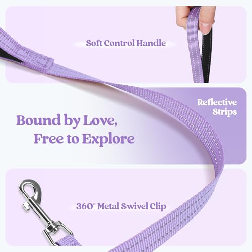 Dog Harness Small Sized and Leash Set (Lavender Floral / Xs (chest: 13.3 - 15.5"))