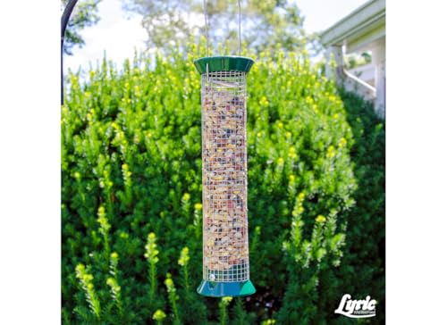 Fruit and Nut Wild Bird Seed for Outside Feeders (5 Pound (Pack of 1))