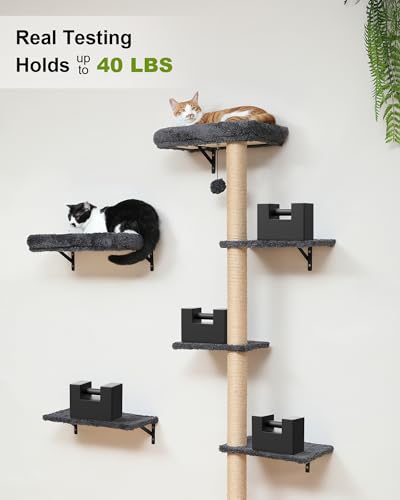 Cat Wall Shelves Set (Grey)