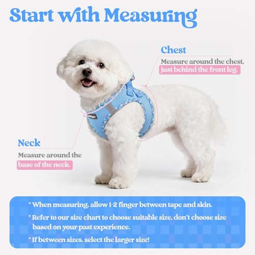 Dog Harness Medium Sized and Leash Set (Blue & Plaid Trim / L (chest: 18.2 - 20.5"))