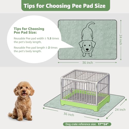 Washable Pee Pads for Dogs (Green Dog Element / 36"x24"(Pack of 2))