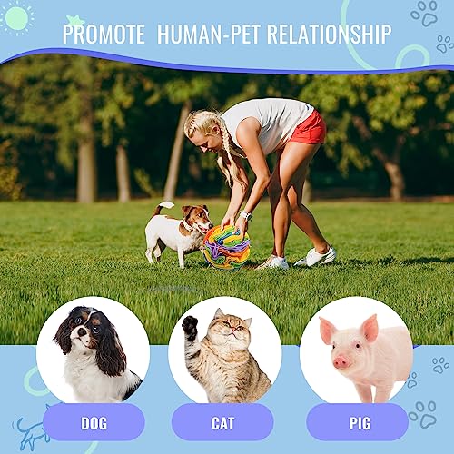 Pet Snuffle Ball (Sweet purple / 10cm)