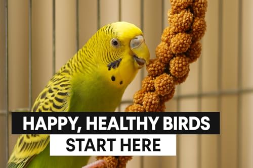 25lbs French Kissed Spray Millet for Birds (25lb)