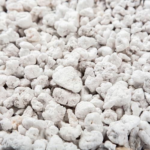 Perlite Bliss (Perlite Bliss (24 Qts))