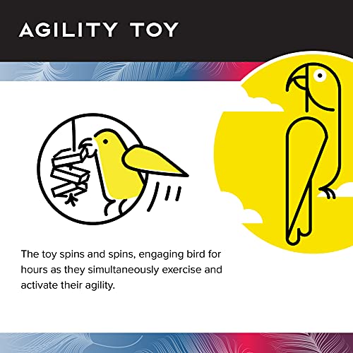 Bird Cage Toy