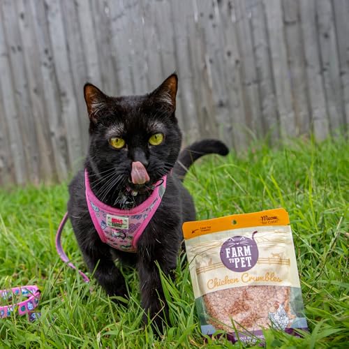 Chicken Cat Treat Crumbles 100% Natural
