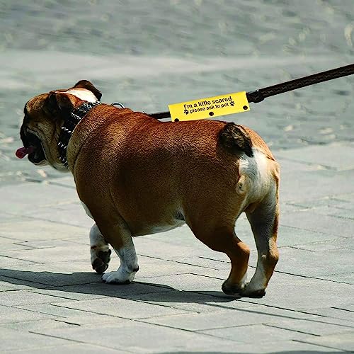 Funny Dog Leash Sleeve I'm a Little Scared Please Ask to pet Leash Wrap Alert Hanging ID Patch Tag Pet Birthday Gift (Little Scared-ye Sleeve)
