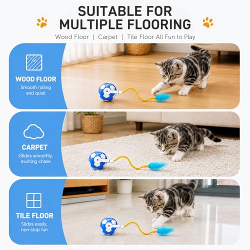 Cat Enrichment Toy (C -Blue)