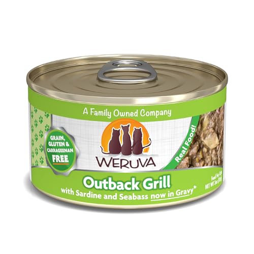 Classic Cat Food (3 Ounce (Pack of 24))