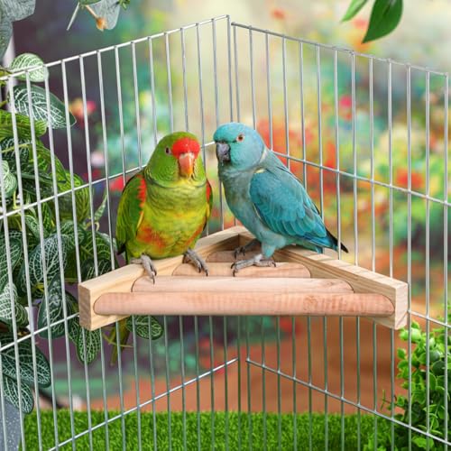 3 Pcs Bird Perch Platform Bird Corner Parrot Perch Corner Wooden Stand Sector Playground Cage Accessories Shelf for Parakeet Conure Cockatiel Budgie Gerbil Rat (7.1 x 7.1 Inch / Ladder)