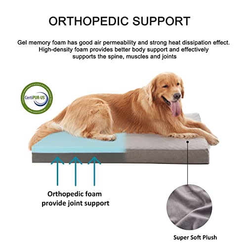Orthopedic Memory Foam Bed for Large Dogs (Short Plush / L Plus-36"x 27" x 3")