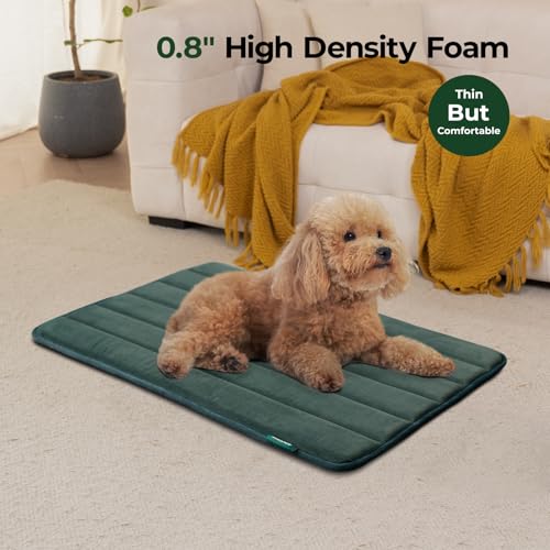 Dog Crate Pad (30.0"L x 19.0"W x 0.8"Th / Green, 1 Pack)