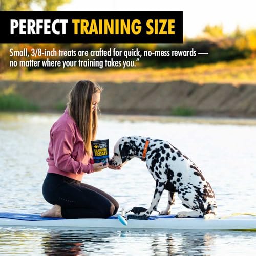 Blueberry Elk & Venison Training Treats for Dogs (4 Ounce (Pack of 2))