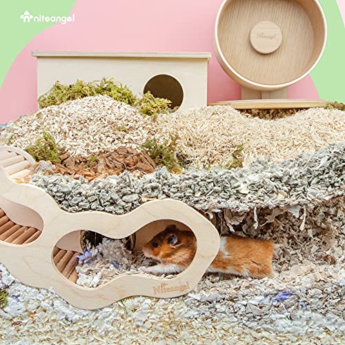 Hamster House w
