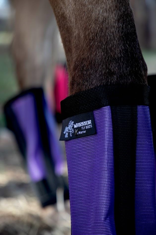 Warrior Fly Boots for Horses (The Warrior / Purple)